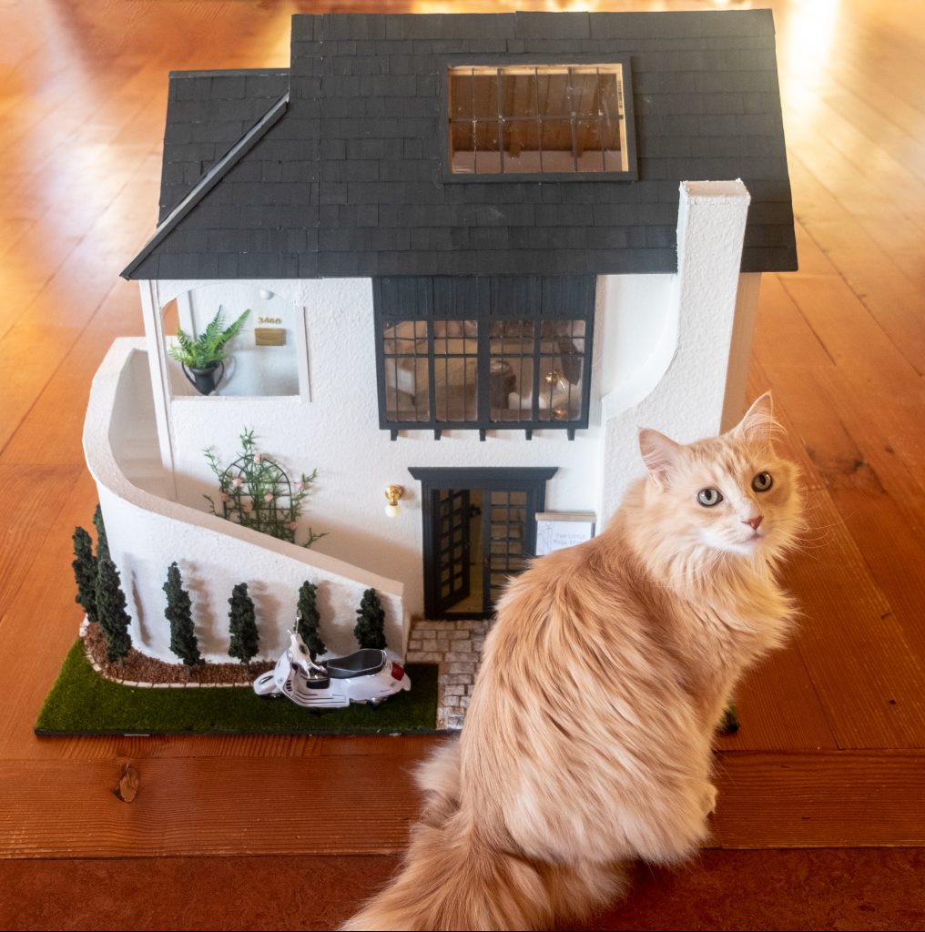 Daily Mini Feature Hobby Builders Announces