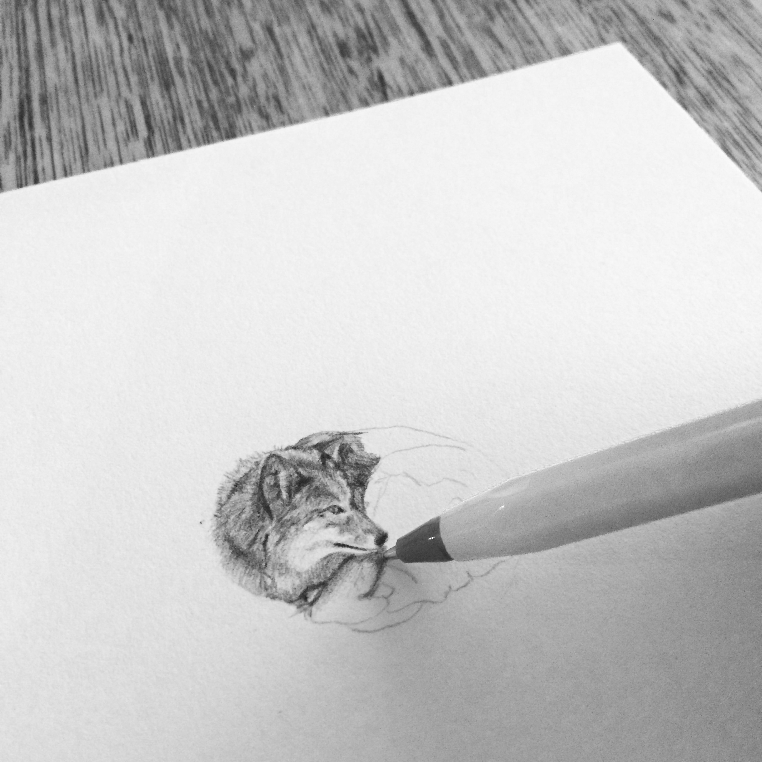 A tiny ballpoint pen drawing.  Black pen drawing, Ballpoint pen drawing,  Ballpoint pen art